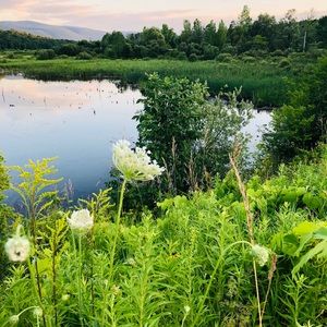 Meet your Posher, Tess